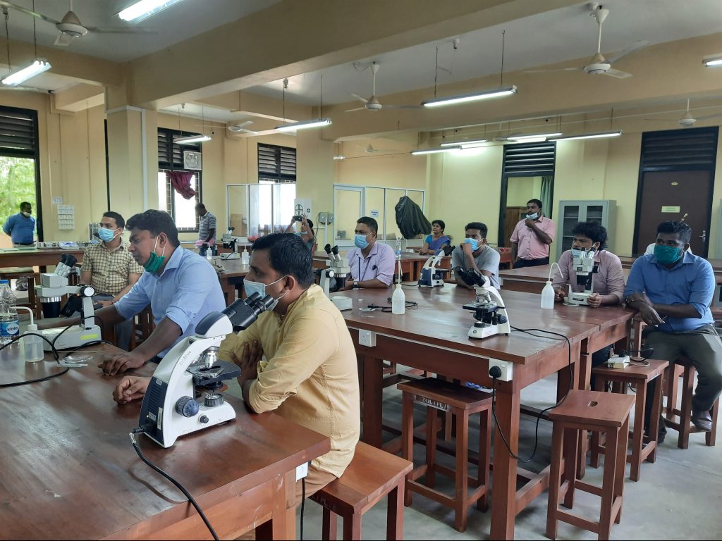 Sandfly dissection training programme